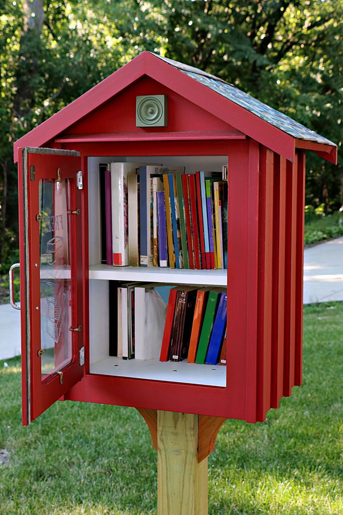 Experience the Little Free Libraries in the Area
