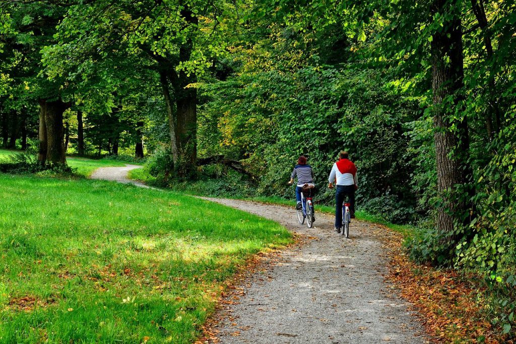 Two people riding bikes on a trail in a park, green grass, leaves on the ground, tree in the background